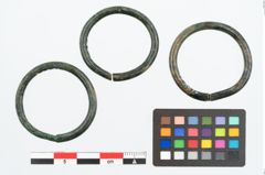 Foto von Bronzering (NHMW-PRAE-025834)